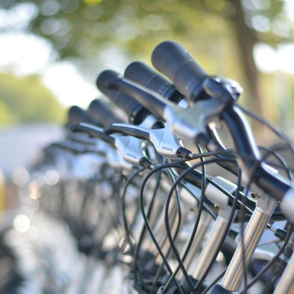 Bicycle Rental Image