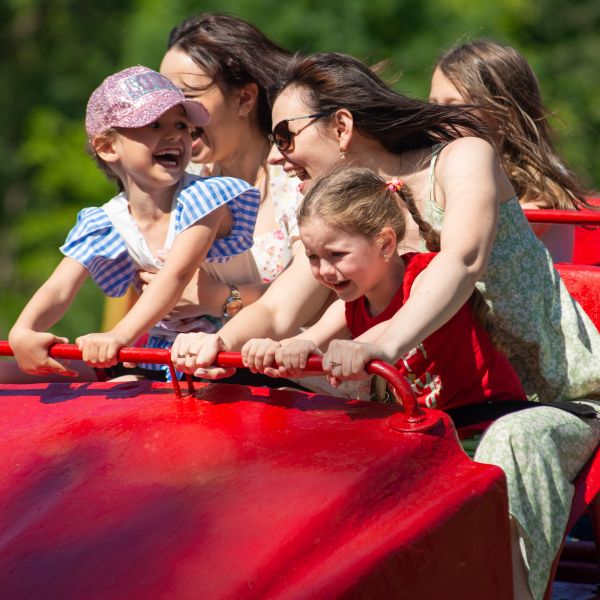 Kids & Family Fun Image
